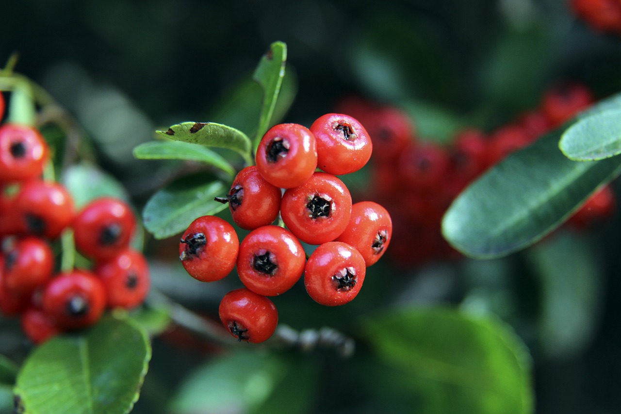 混团世界杯击败梁靖崑，也曾爆冷战胜樊振东……法国勒布伦兄弟已是国乒劲敌